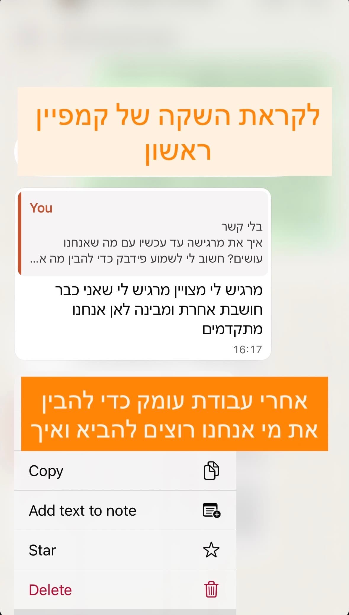 המלצת לקוחה - לקראת השקה של קמפיין